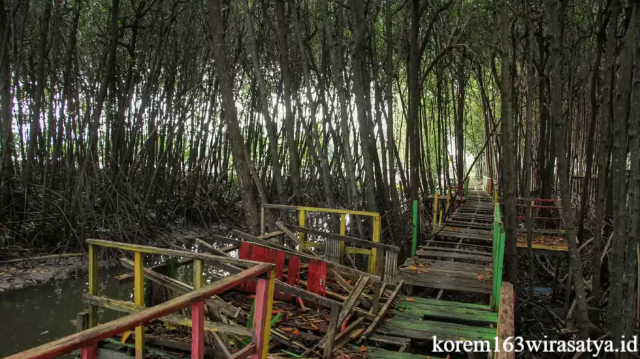 Hutan Wisata Edukasi Kampoeng Mangrove Rara